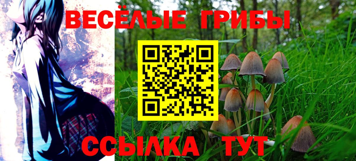 Гулькевичи  Галлюциногенные грибы Cubensis  Вход с VPN 